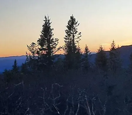Ekte Hyttefolelse Pa Lifjell