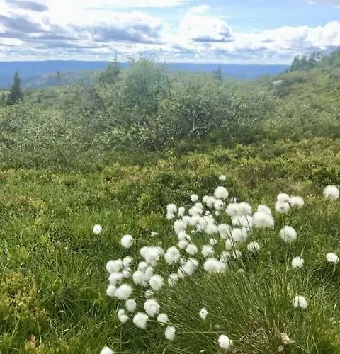 Vakantiehuis Ekte Hyttefolelse Pa *